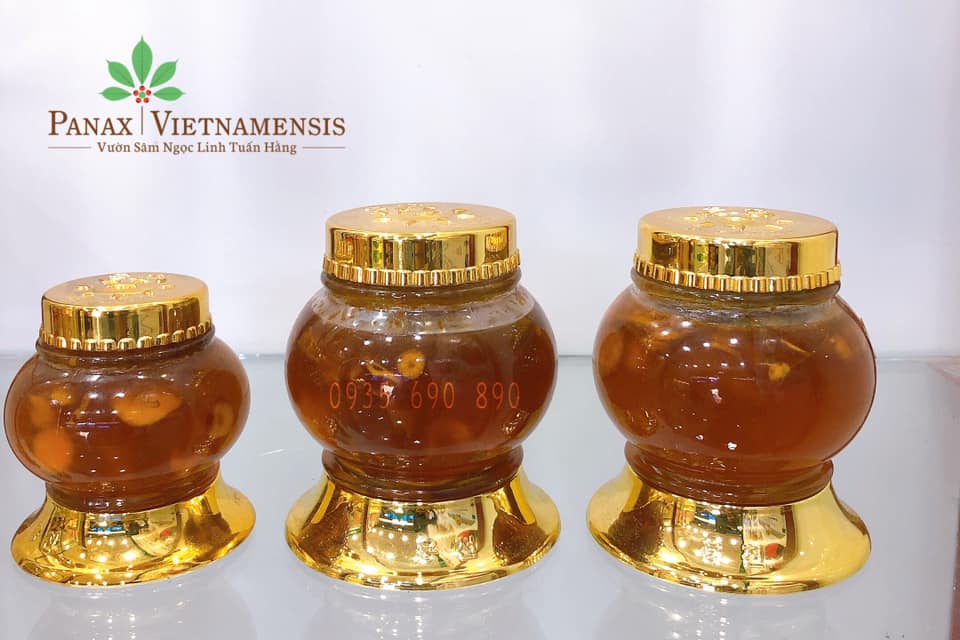 sâm ngọc linh ngâm mật ong